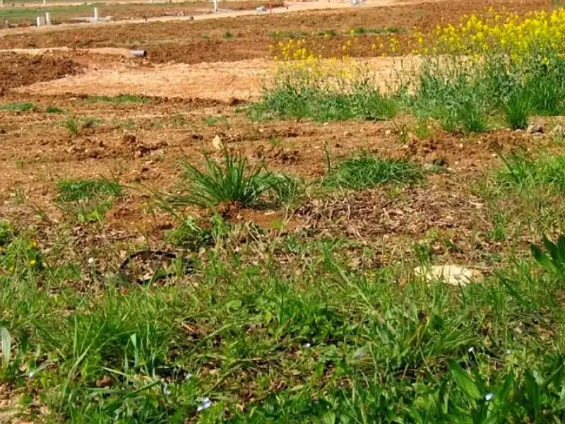 Maison neuve, 100 m² - Neuve-Chapelle (62840)