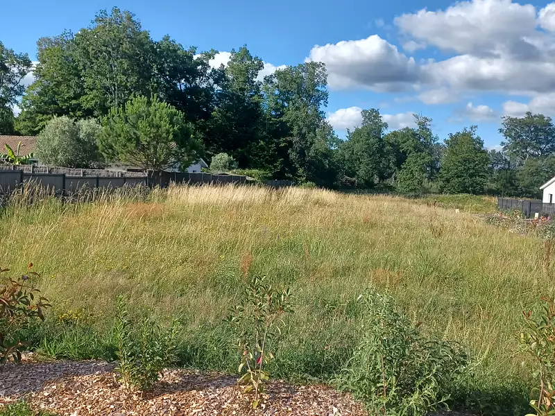 Terrain à bâtir, 343 m² - La Lande-de-Fronsac (33240)