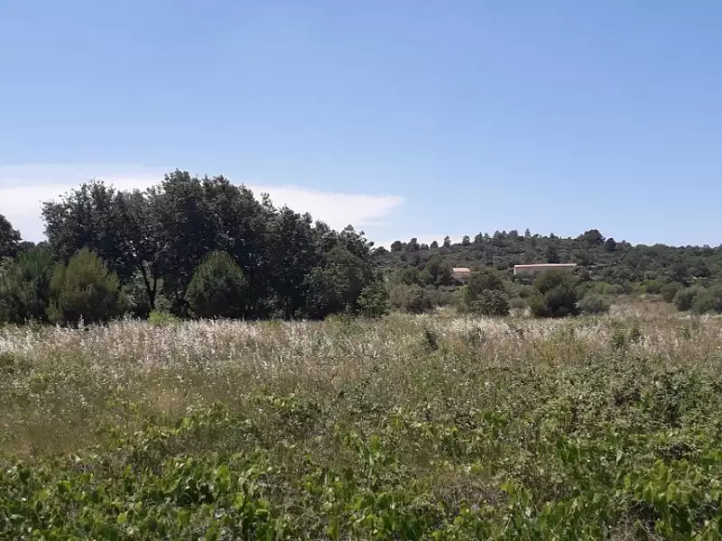 Maison neuve, 73 m² - Saint-Laurent-de-la-Cabrerisse (11220)