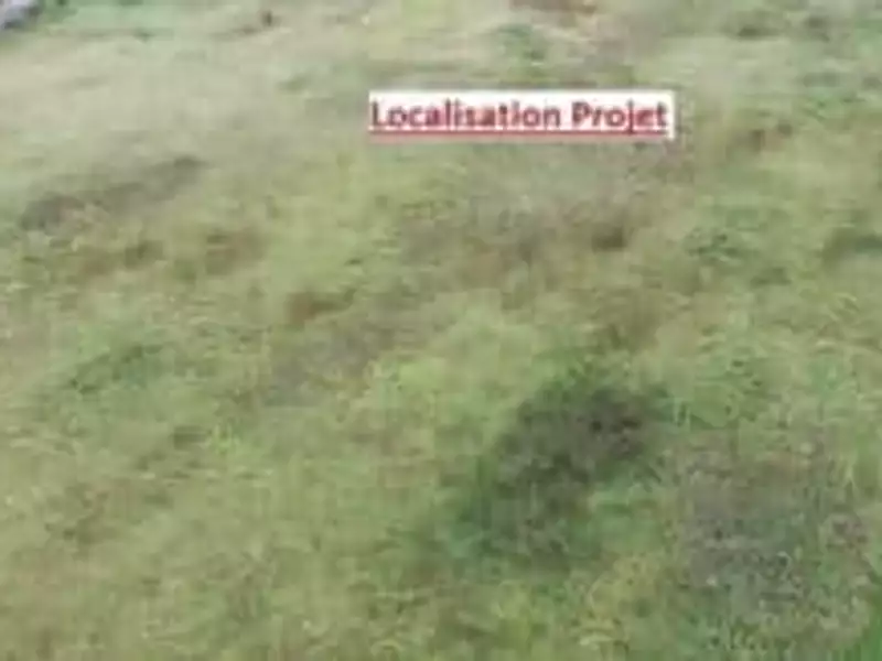 Terrain à bâtir, 530 m² - Puisieulx (51500)