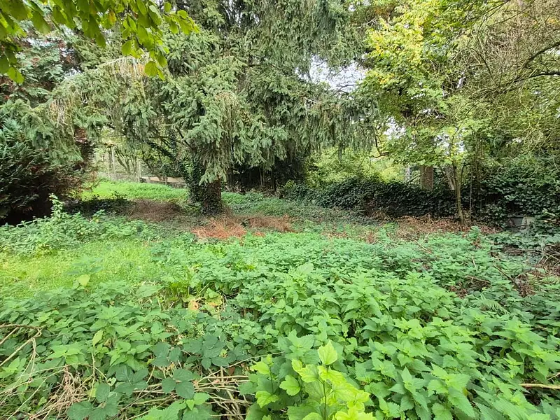 Terrain à bâtir, 503 m² - Palaiseau (91120)