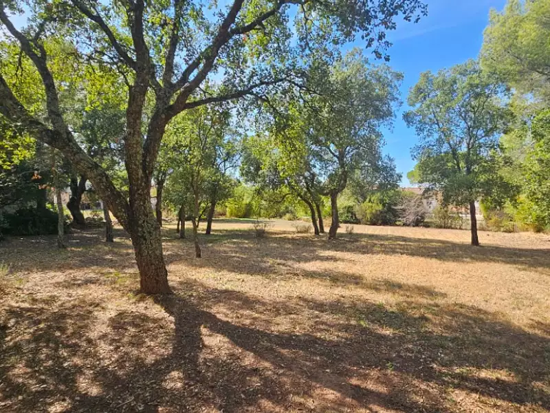 Terrain à bâtir, 1 007 m² - Le Cannet-des-Maures (83340)