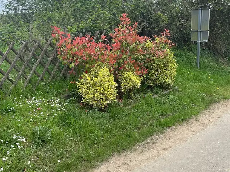 Terrain à bâtir, 654 m² - Hagen (57570)