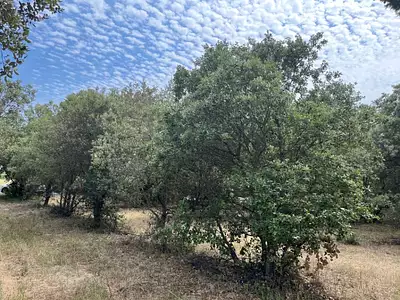 Terrain à bâtir, 1 143 m²