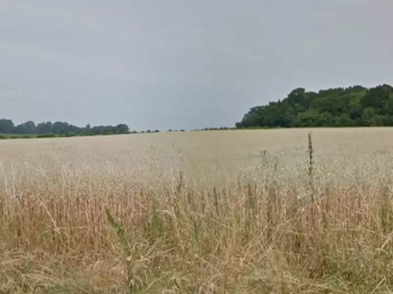 Maison neuve, 120 m² - Maizet (14210)