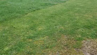 Terrain à bâtir, 450 m²