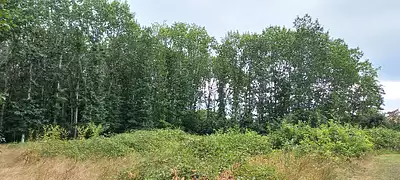 Maison neuve, 146 m²