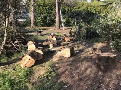 Terrain à bâtir, 544 m²