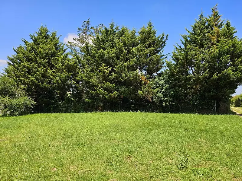 Terrain à bâtir, 606 m² - Cormoranche-sur-Saône (01290)