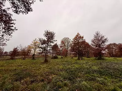 Terrain à bâtir, 2 200 m²
