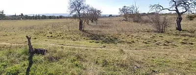 Terrain à bâtir, 236 m²