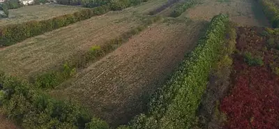 Maison neuve, 83 m²