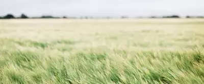 Maison neuve, 95 m²