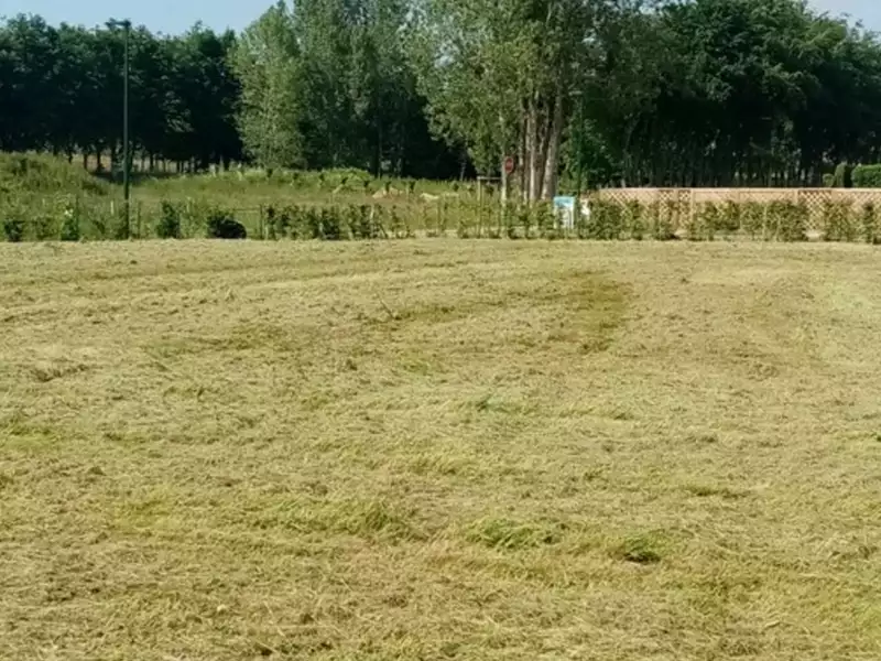 Terrain à bâtir, 1 163 m² - Amfreville-les-Champs (76560)