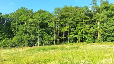 Maison neuve, 174 m²