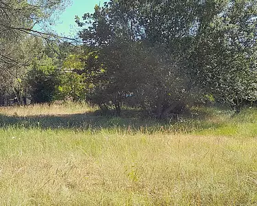 Terrain à bâtir, 1 680 m²