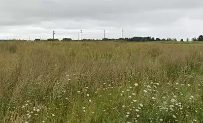 Terrain à bâtir, 600 m²