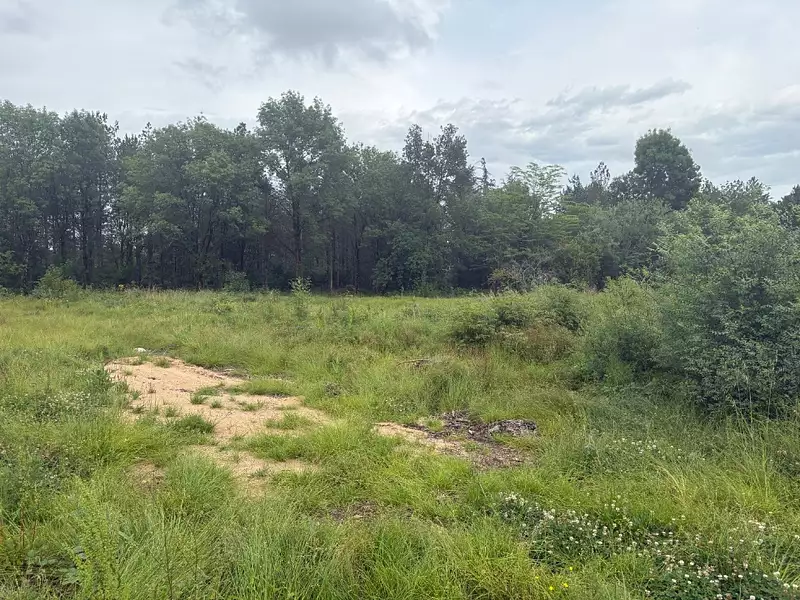 Terrain à bâtir, 1 170 m² - Villaudric (31620)