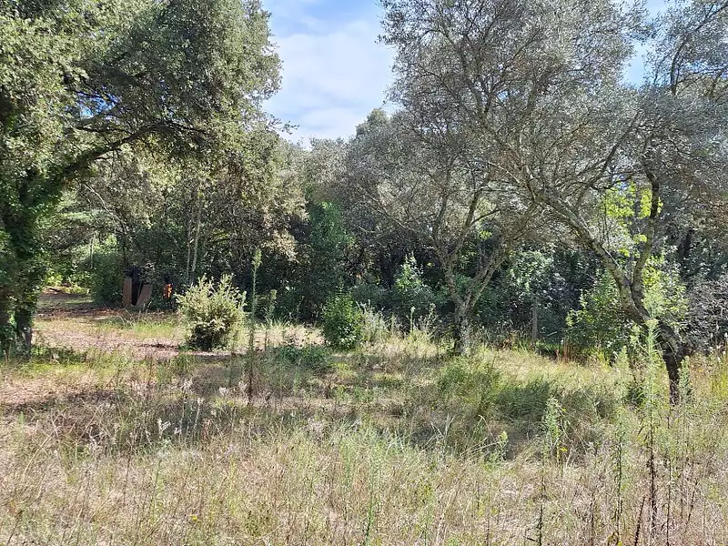 Maison neuve, 71 m² - Villevieille (30250)