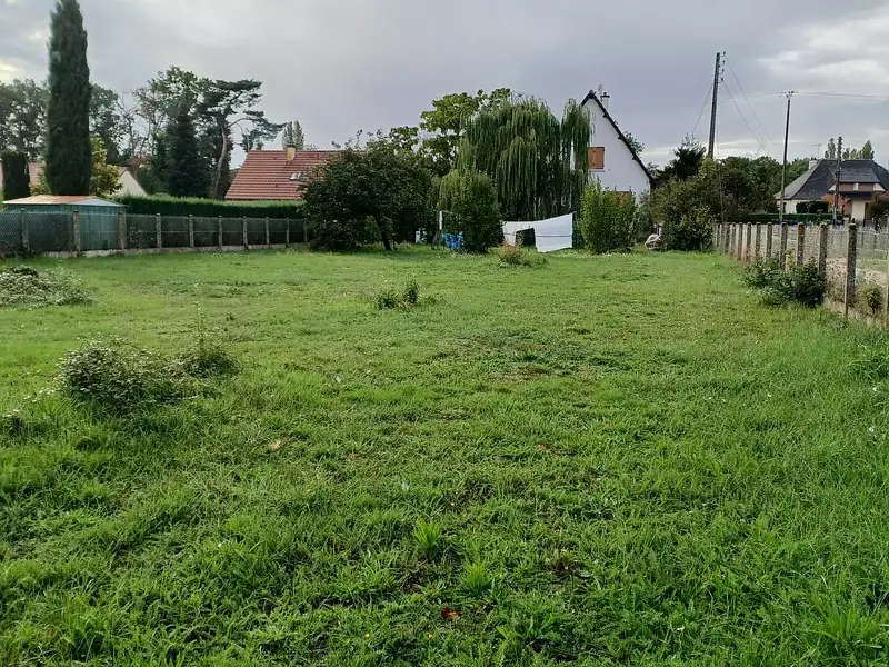 Terrain à bâtir, 10 000 m² - Fréville-du-Gâtinais (45270)