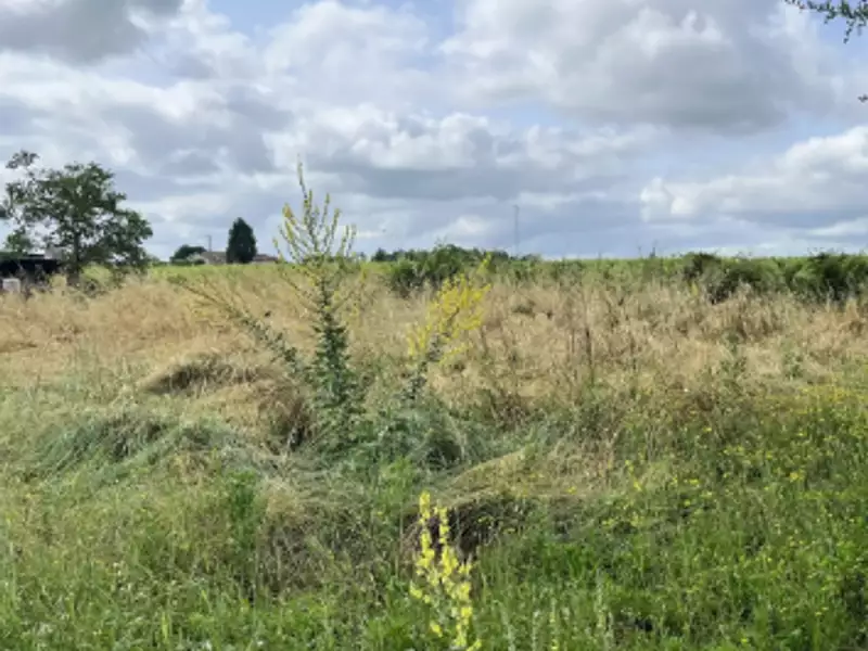 Terrain à bâtir, 1 331 m² - Portets (33640)