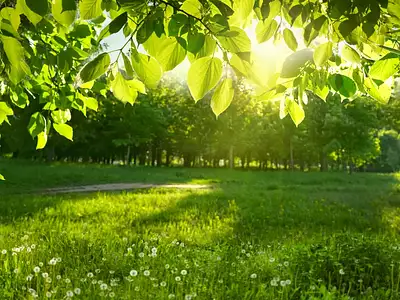 Maison neuve, 115 m²