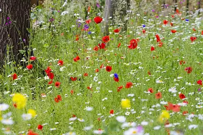 Maison neuve, 90 m²