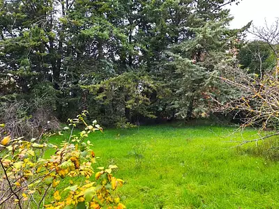 Maison neuve, 87 m²