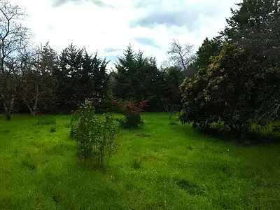 Maison neuve, 87 m²