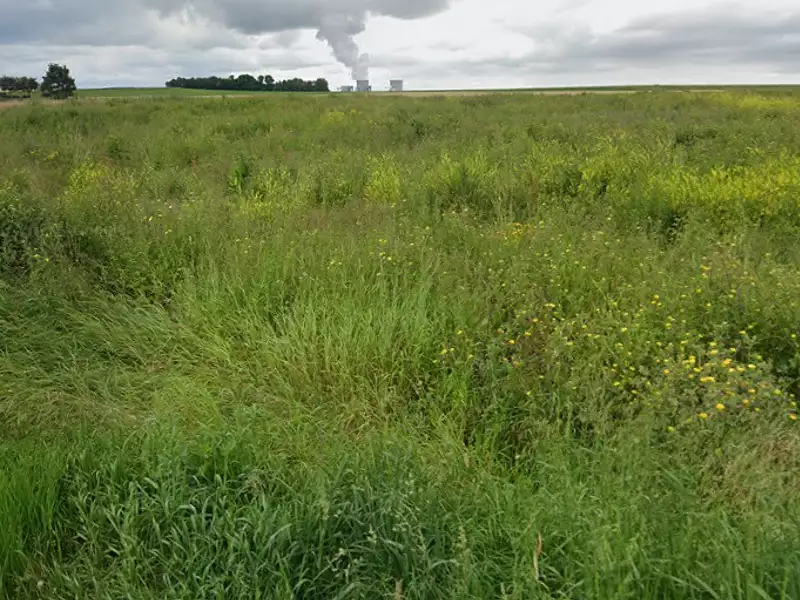 Terrain à bâtir, 517 m² - Tavers (45190)