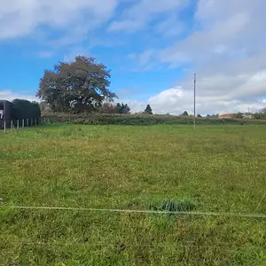 Maison neuve, 100 m²