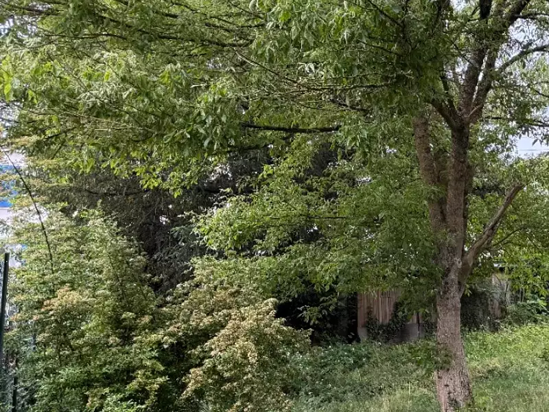 Terrain à bâtir, 315 m² - Epinay-sur-Orge (91360)