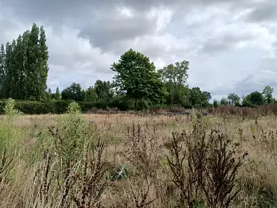 Terrain à bâtir, 785 m²