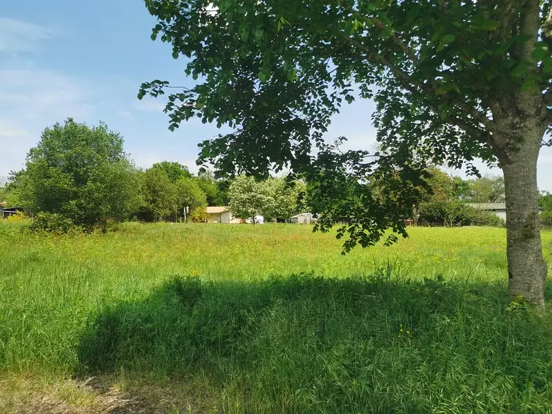 Maison neuve, 80 m² - Bazas (33430)