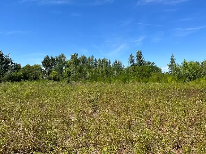 Maison neuve, 155 m² - Castelnaudary (11400)