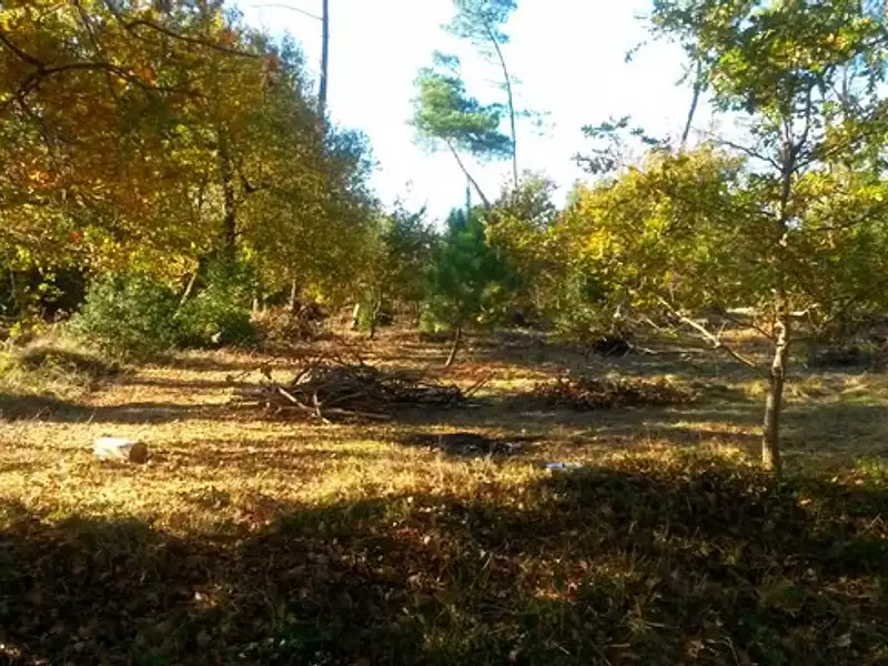 Terrain à bâtir, 612 m² - Audenge (33980)