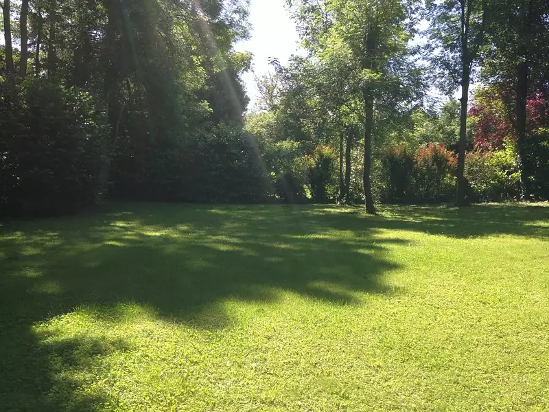 Maison neuve, 197 m² - Montfort-l'Amaury (78490)