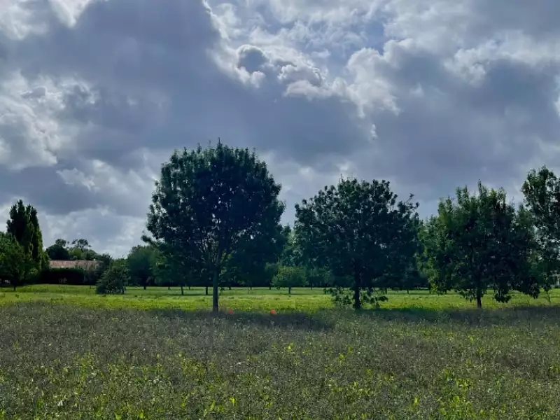 Terrain à bâtir, 359 m² - Mornac-sur-Seudre (17113)