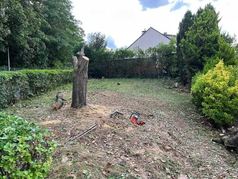 Terrain à bâtir, 245 m² - Villebon-sur-Yvette (91140)