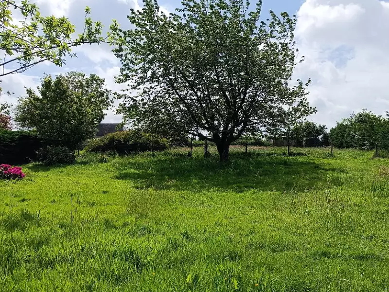 Terrain à bâtir, 800 m² - Butot-Vénesville (76450)