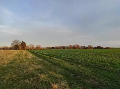 Maison neuve, 105 m²