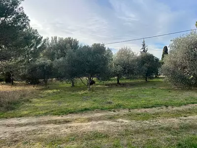 Maison neuve, 95 m²