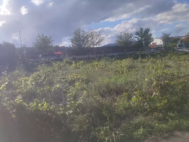 Maison neuve, 125 m² - Bennwihr (68630)