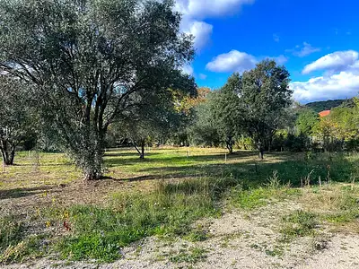 Terrain à bâtir, 900 m²