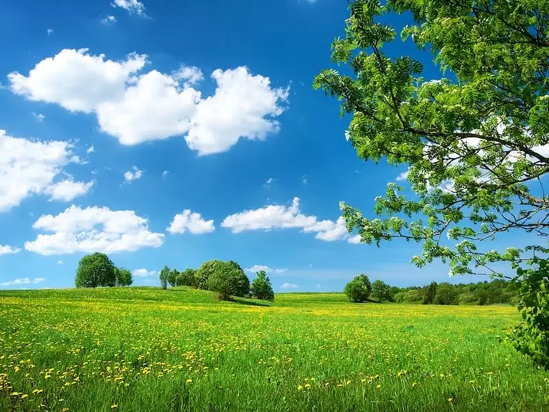 Maison neuve, 73 m² - Chanteix (19330)