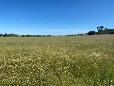 Terrain à bâtir, 690 m²