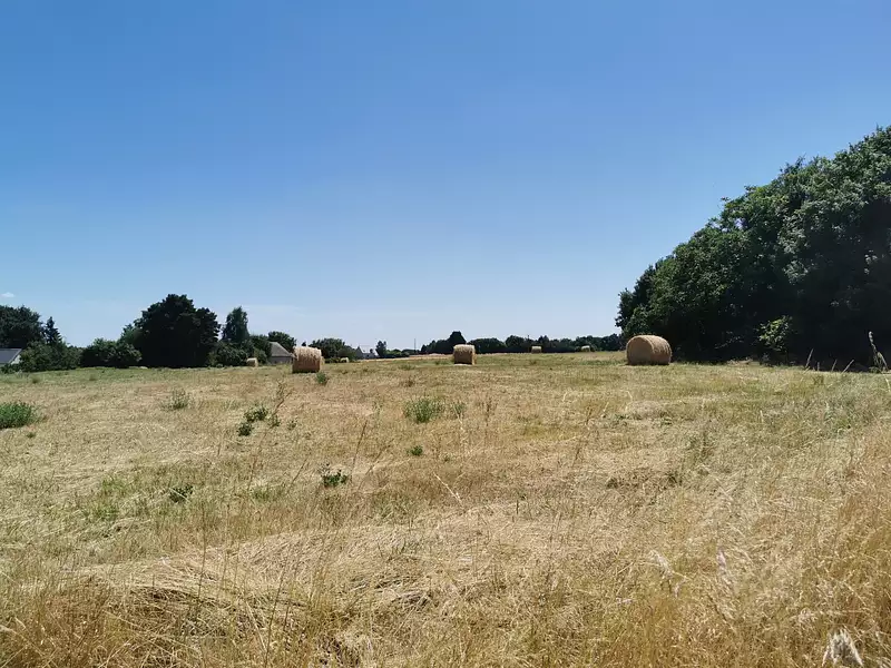 Terrain à bâtir, 633 m² - Notre-Dame-d'Oé (37390)