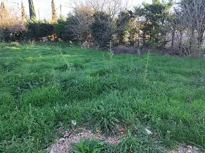 Maison neuve, 98 m²