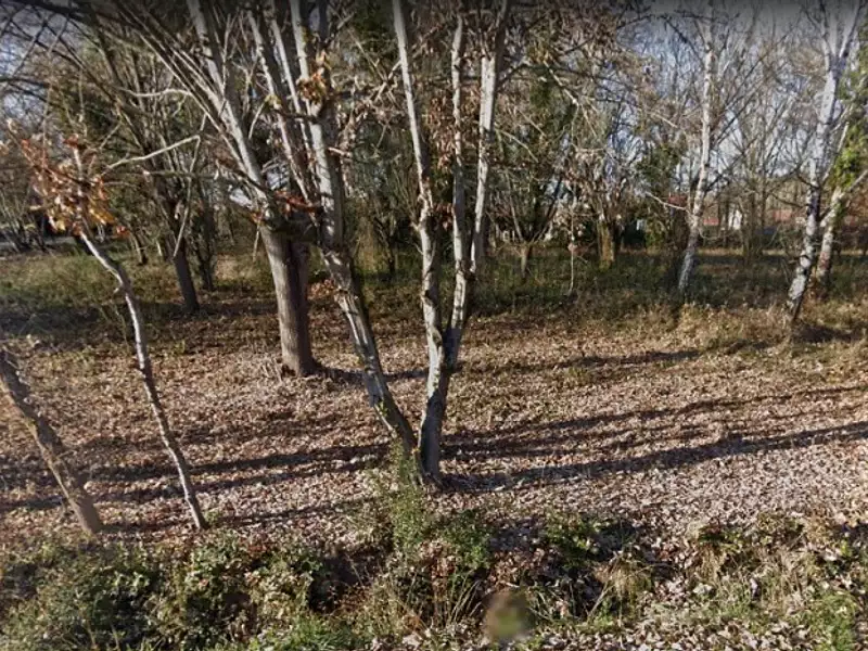 Terrain à bâtir, 492 m² - Montesquieu-Volvestre (31310)