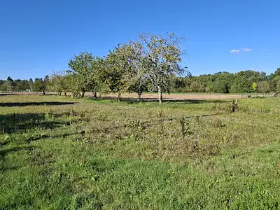 Maison neuve, 114 m²